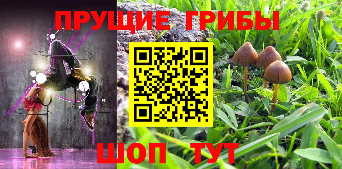 Псилоцибиновые грибы Psilocybe Иваново