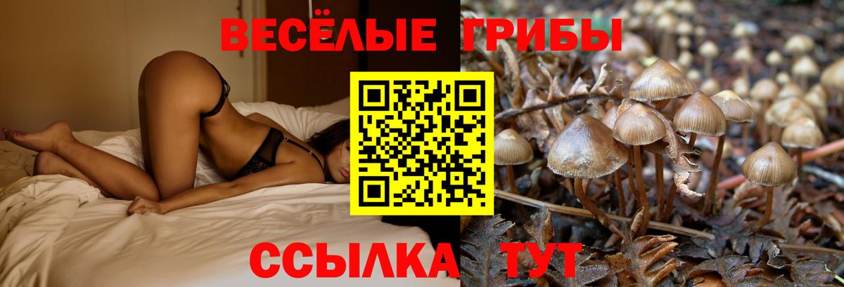Галлюциногенные грибы мицелий  Псилоцибиновые грибы Psilocybine cubensis  Вход с VPN  Иваново 